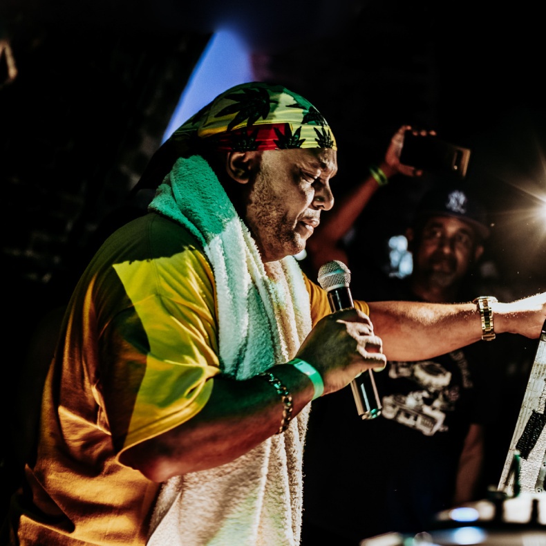 Mark d'Iration Steppas le Sound System